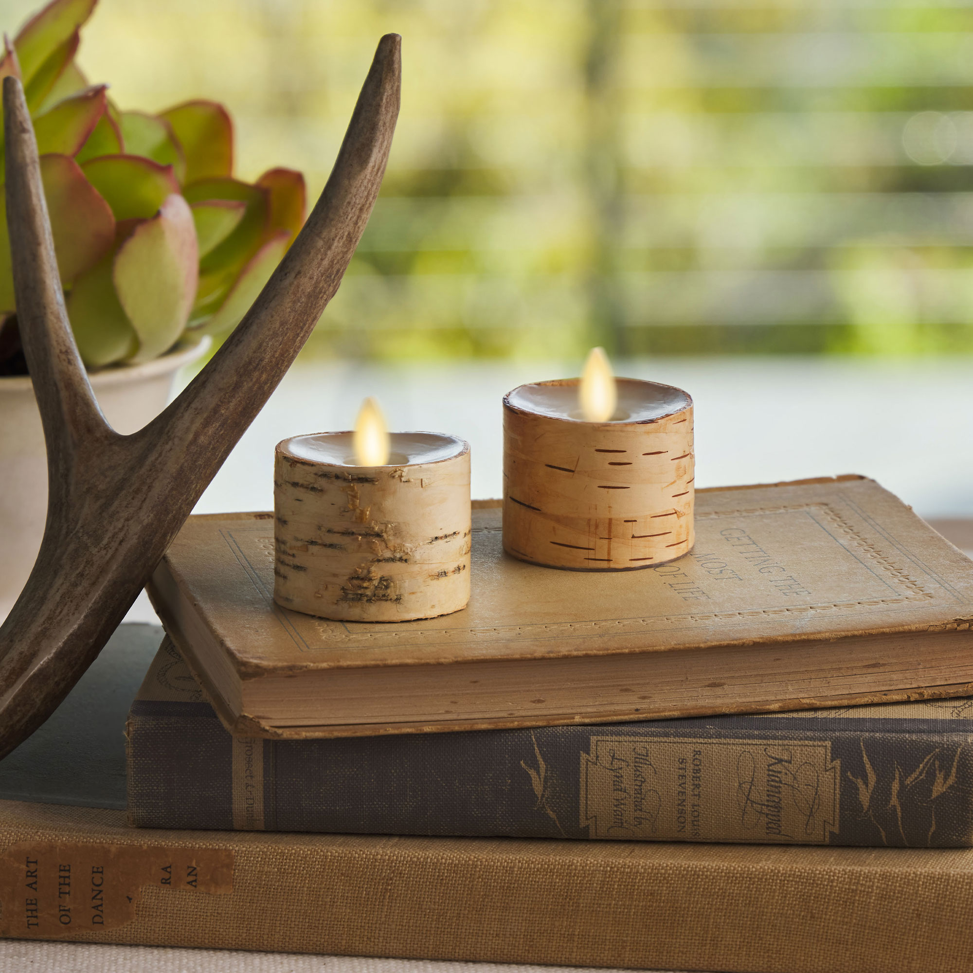 Set of 2 Flameless Birch Wood Candle Tealights Luminara