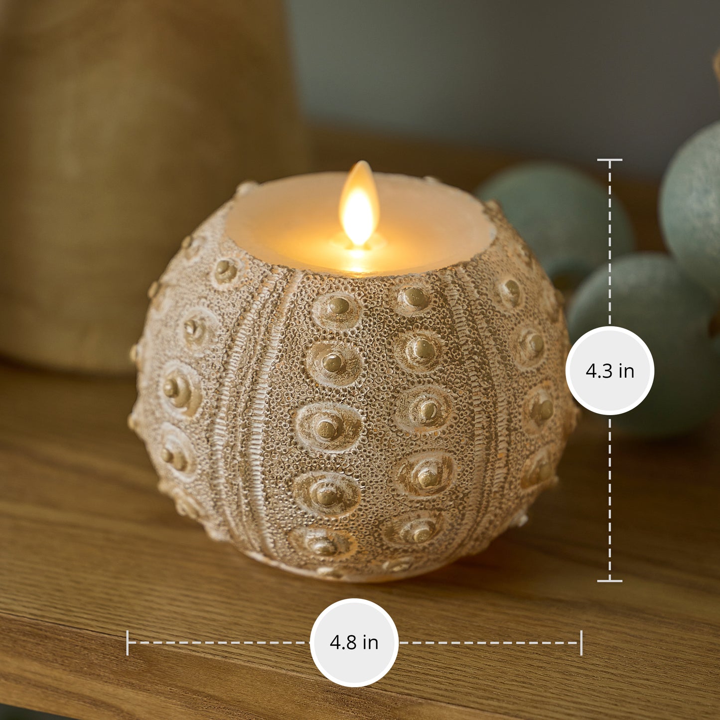 White Sea Urchin Shell Flameless Candle