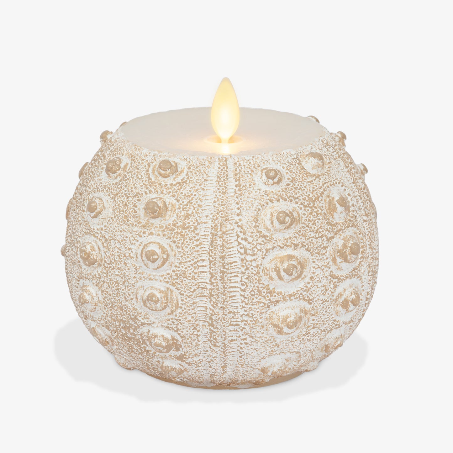 White Sea Urchin Shell Flameless Candle