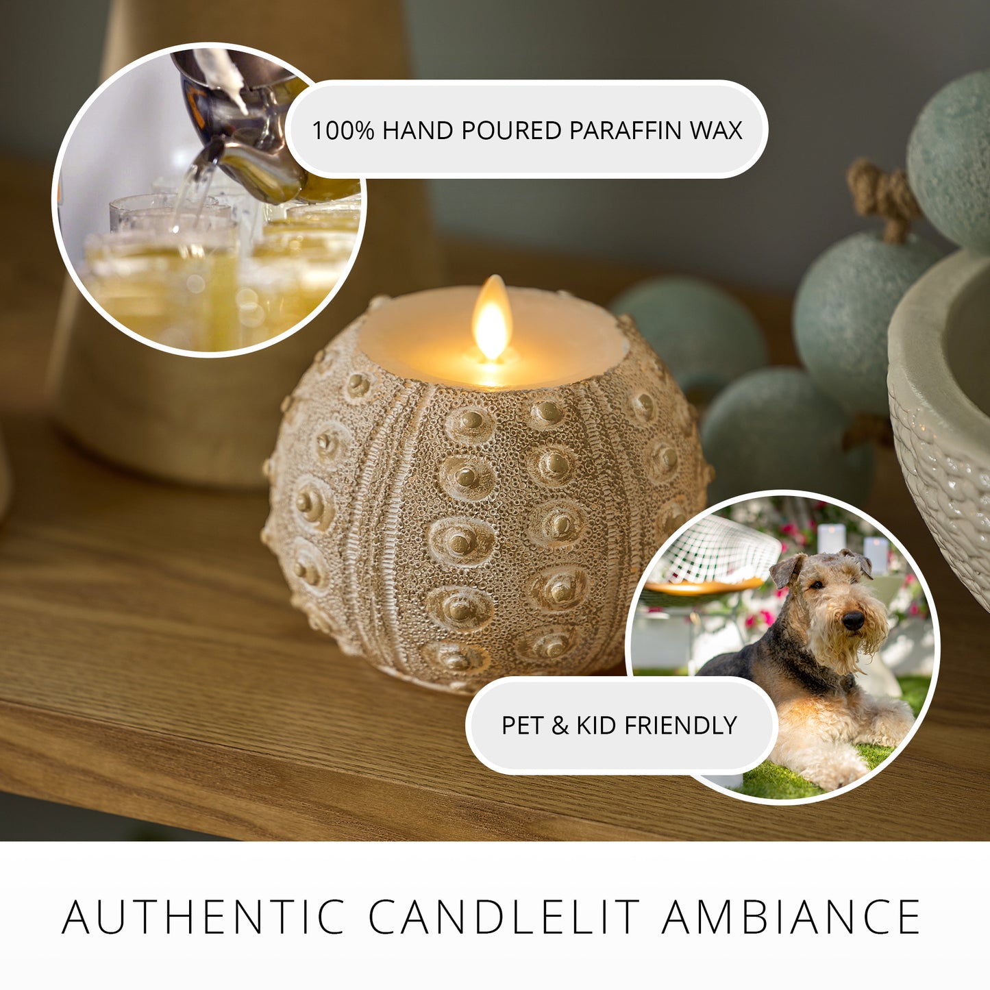 White Sea Urchin Shell Flameless Candle