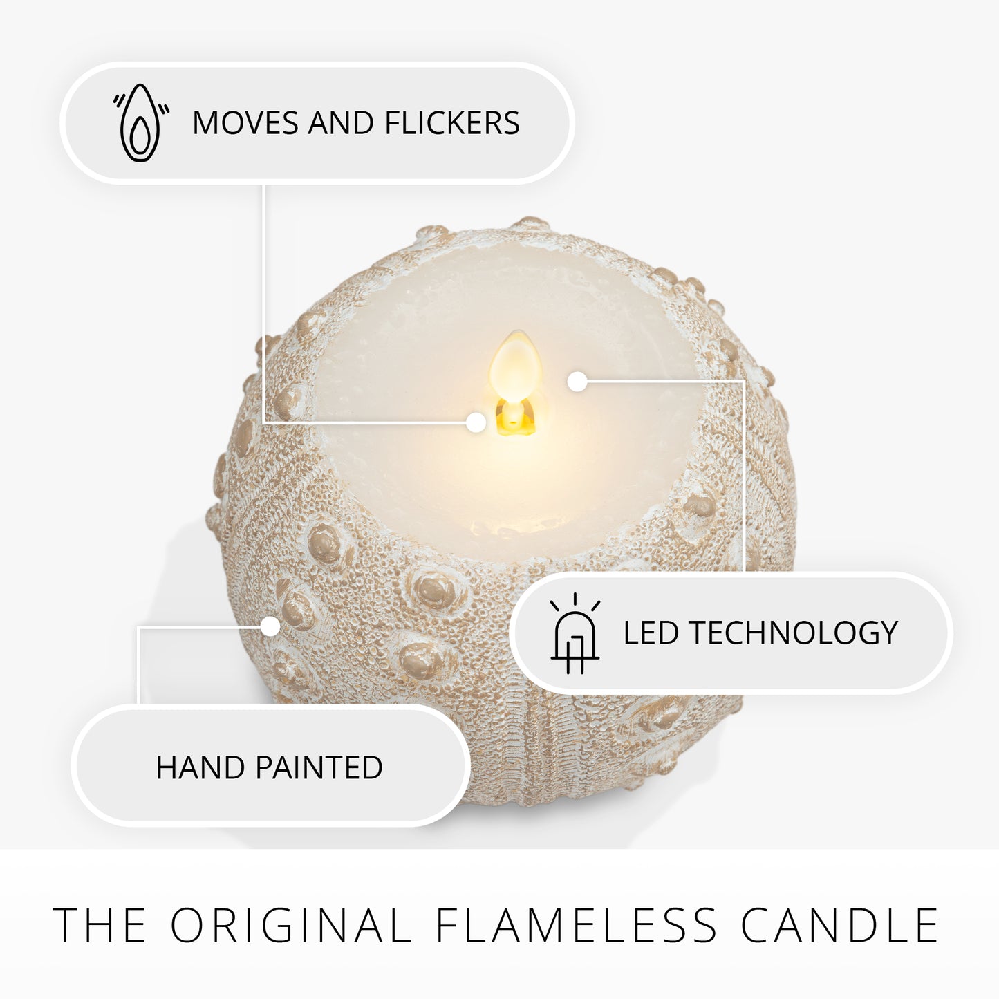 White Sea Urchin Shell Flameless Candle