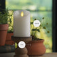 White Flameless Candle Pillar - Scallop Top - 3" Width