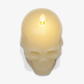 Ivory Flameless Candle Skull