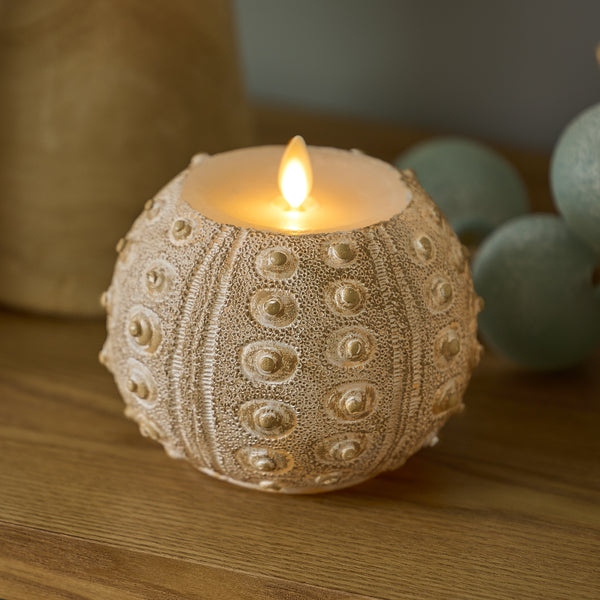 White Sea Urchin Shell Flameless Candle – Luminara