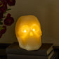 Pearl Ivory Skull